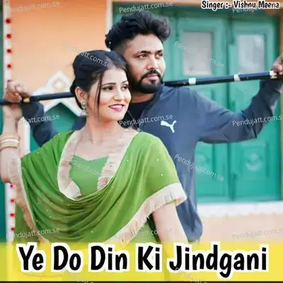 Ye Do Din Ki Jindgani - Vishnu Meena album cover 