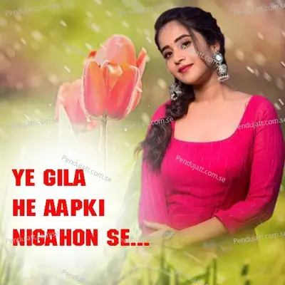 Ye Gila He Aapki Nigahon Se - Raj Meena album cover 