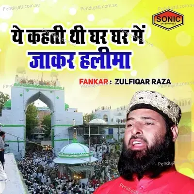 Ye Keheti Thi Ghar Ghar Main Jakar Halima - Zulfiqar Raza album cover 