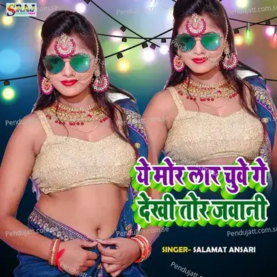 Ye Mor Lar Chuwe Gr Dekhi Ke Jawaniya - Salamat Ansari album cover 