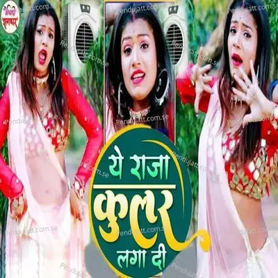 Ye Raja Cooler Laga Di - Dhanjee Lal Yadav album cover 