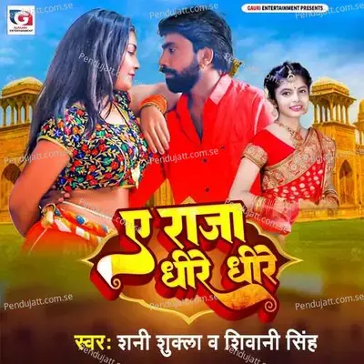 Ye Raja Dhire Dhire - Shani Shukla album cover 