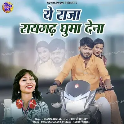 Ye Raja Raigarh Ghuma Dena - Champa Nishad album cover 