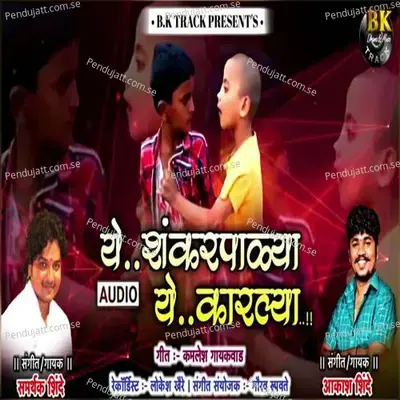 Ye Shankarpalya Ye Karlya - Akash Shinde album cover 