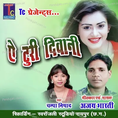 Ye Turi Diwani - Ajay Bharti album cover 