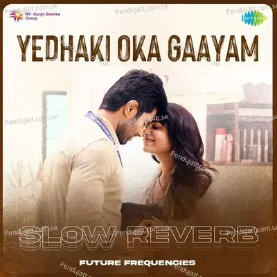 Yedhaki Oka Gaayam - Slow Reverb - Future Frequencies album cover 