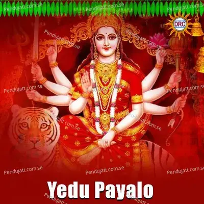 Yedu Payalo - Warangal Shankar album cover 