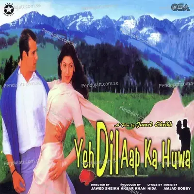 Dil Ko Dildar Mila - Kavita Krishnamurthy album cover 