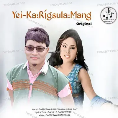 Yei Karigsulamang - Sarbeswar Kardong album cover 