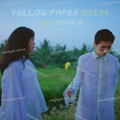 Yellow Paper Daisy - When Chai Met Toast