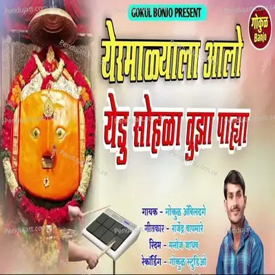 Yermalyat Aalo Yedu Sohala Tuza Pahya - Gokul Ambildhage album cover 