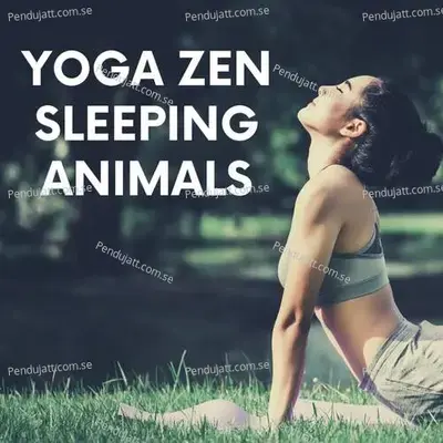Yoga Zen Sleeping Animals - Lakhan Hire album cover 