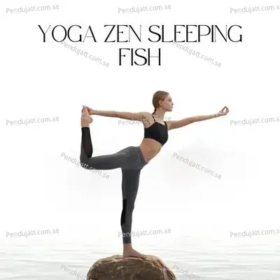 Yoga Zen Sleeping Fish - Lakhan Hire album cover 