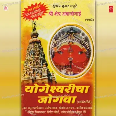 Tum Tum Sambal Kari - Shrikant Narayan album cover 