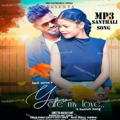You Are My Love - Kumar Sawan album cover 