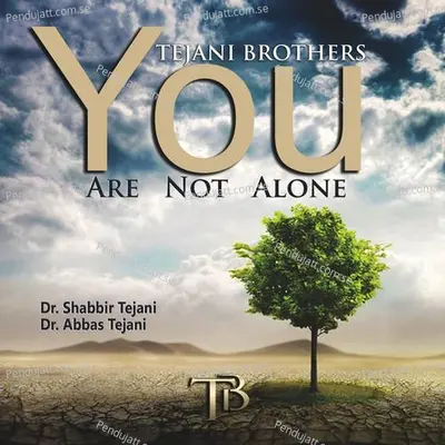 Ya Rab - Tejani Brothers album cover 