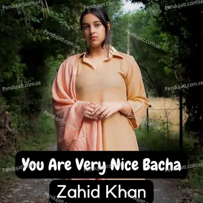 You Are Very Nice Bacha - Zahid Khan album cover 