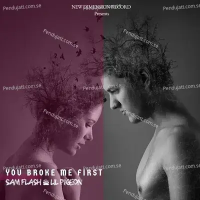 You Broke Me First - Sam Flash album cover 
