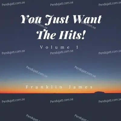 You Just Want The Hits  Vol I - Franklin James cover album