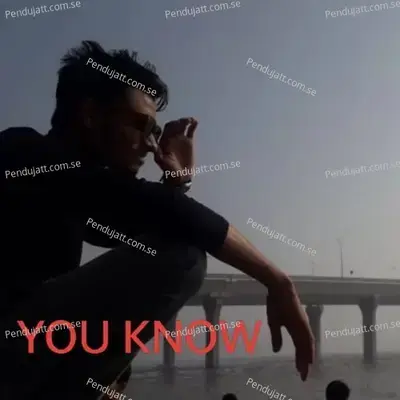 You Know - Deepak Kumar album cover 