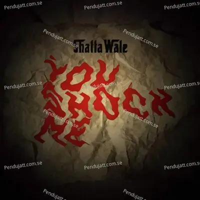 You Shock Me - Shatta Wale