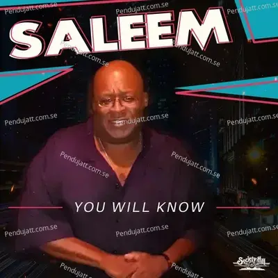 You Will Know - Saleem album cover 