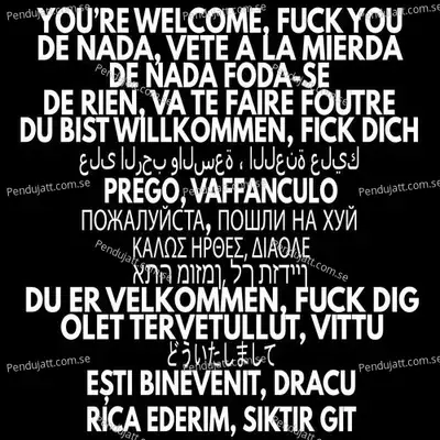 Youre Welcome Fuck You - Zay Houdinii cover album