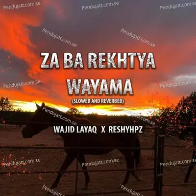 Za Ba Rekhtya Wayama - Wajid Layaq album cover 