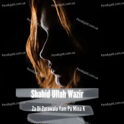 Za Di Zarawala Yam Pa Mina K - Shahid Ullah Wazir cover album