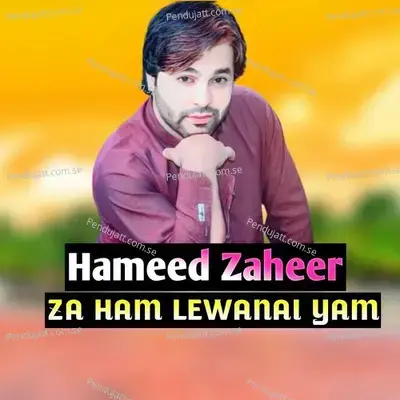 Za Ham Lewanai Yam - Hameed Zaheer album cover 