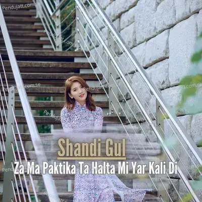 Za Ma Paktika Ta Halta Mi Yar Kali Di - Shandi Gul Mizarwal album cover 
