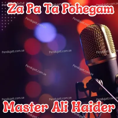 Za Pa Ta Pohegam - Master Ali Haider album cover 