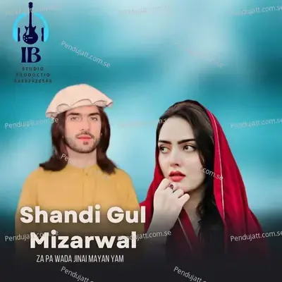 Za Pa Wada Jinai Mayan Yam - Shandi Gul Mizarwal album cover 