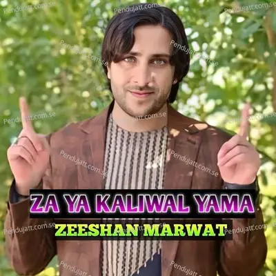 Za Ya Kaliwal Yama - Zeeshan Marwat album cover 