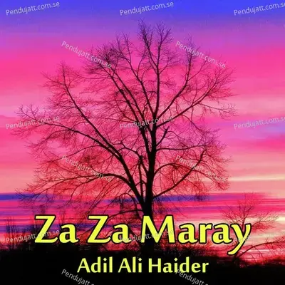 Za Za Maray - Adil Ali Haider album cover 