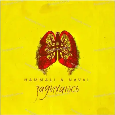 Zadykhajus  039 - HammAli & Navai album cover 