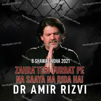 Zahra Sa Teri Turbat Pe Na Saaya Na Rida Hai - Dr. Amir Rizvi album cover 