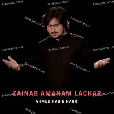 Zainab Amanam Lachar - Ahmed Habib Nagri album cover 