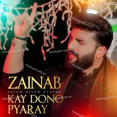 Zainab Sa Kay Dono Pyaray - Hassan Ali album cover 