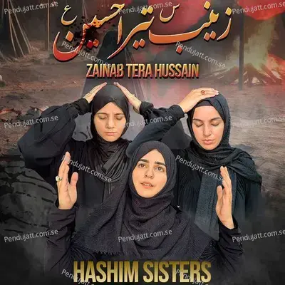 Zainab Tera Hussain - Hashim Sisters album cover 