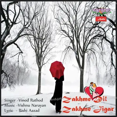 Toofa Sa Zindgi Main - Vinod Rathod album cover 