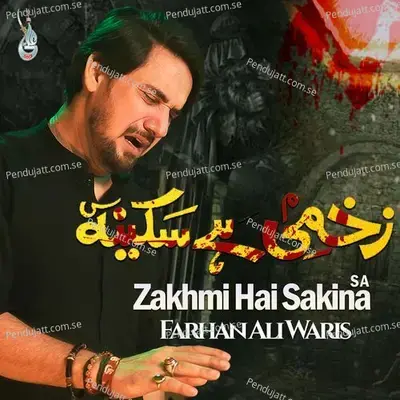 Zakhmi Hai Sakina S A - Farhan Ali Waris album cover 