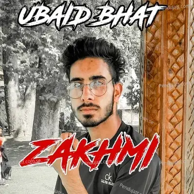 Zakhmi - Ubaid Bhat album cover 