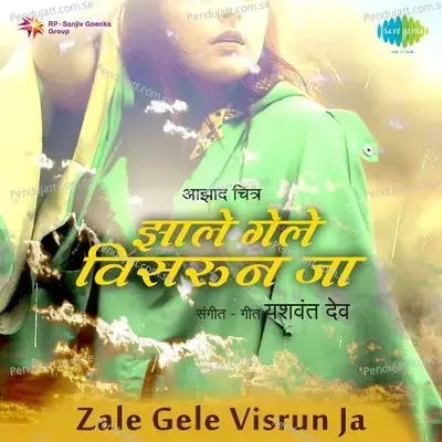 Zale Gele Visrun Ja - Yeshwant Deo cover album