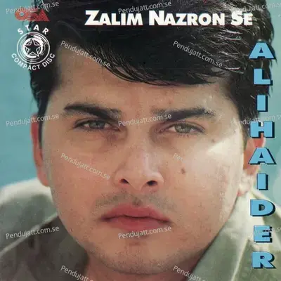 Zalim Nazron Se - Ali Haider cover album