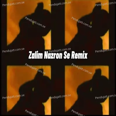 Zalim Nazron Se  Remix  - Ali Haider