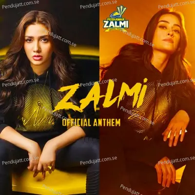 Zalmi Kingdom - Abdullah Siddiqui album cover 