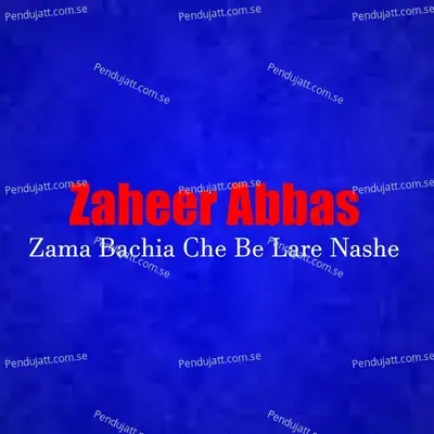 Zama Bachia Che Be Lare Nashe - Zaheer Abbas album cover 