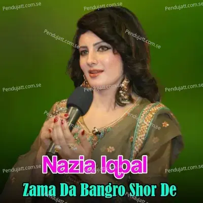 Chi Za Cha Krama Paghala - Nazia Iqbal album cover 