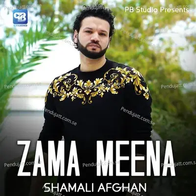 Zama Meena - Shamali Afghan album cover 